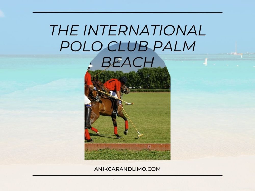 Luxury Car Services You Can Take To The International Polo Club Palm Beach in 2022