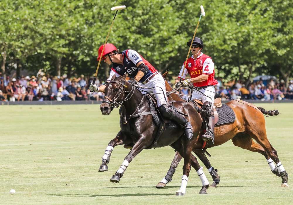 Riding High: A Guide to the Exciting World of Wellington Polo Championships