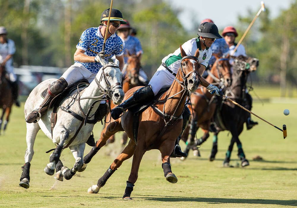 Riding High: A Guide to the Exciting World of Wellington Polo Championships